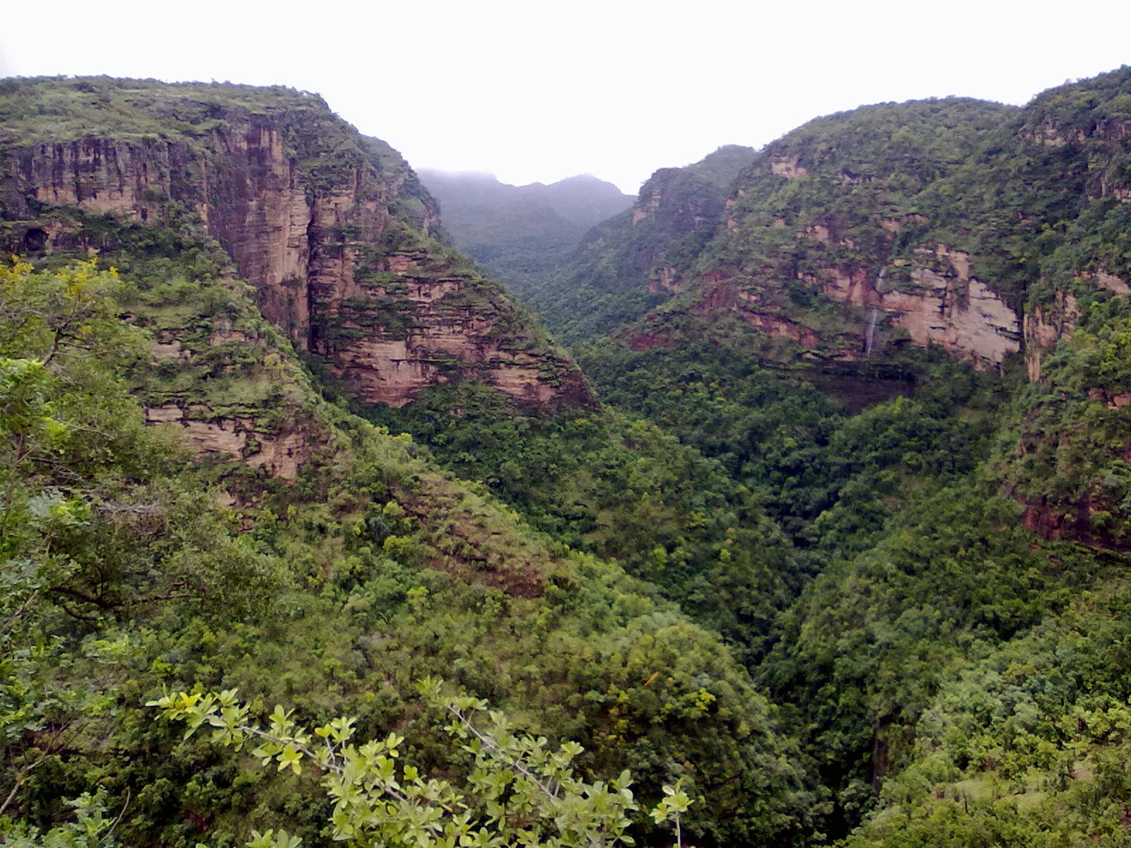 Satpura Wild Circuit